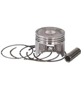 Piston 2W